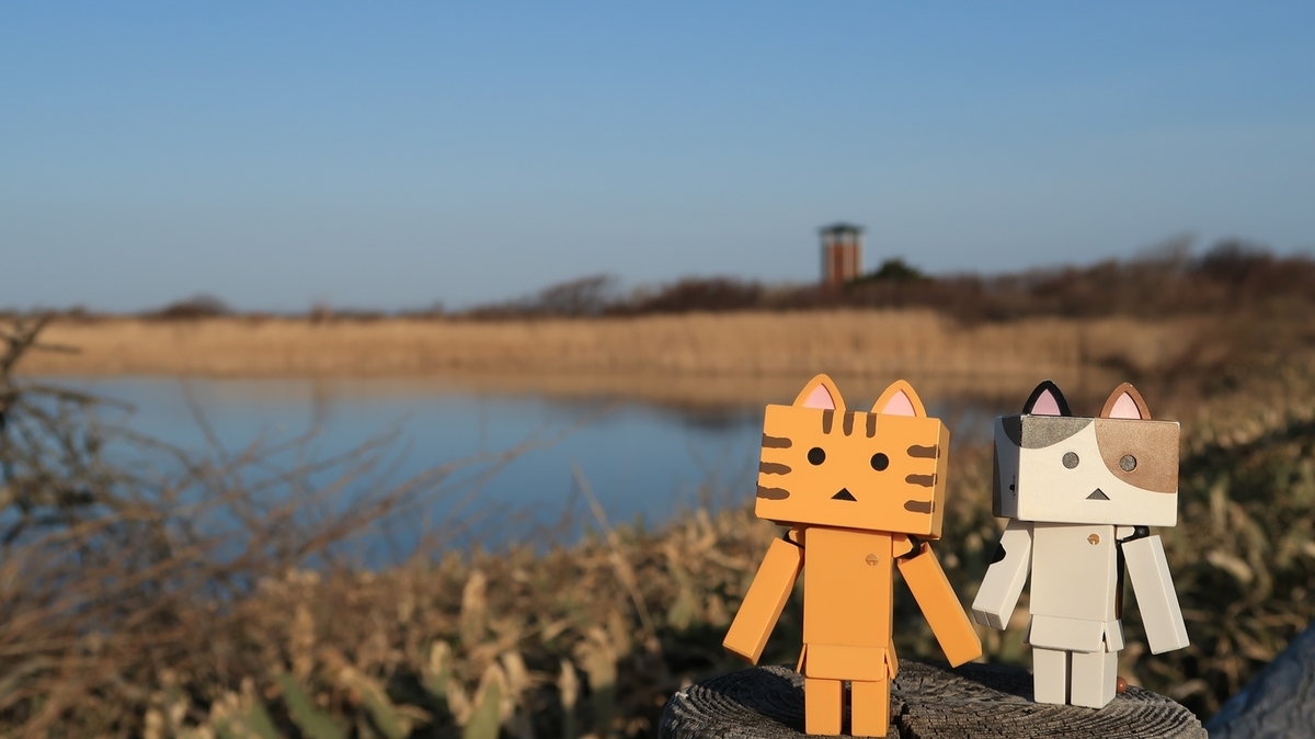 f:id:shirokumapanda:20190508224929j:plain f:id:shirokumapanda:20190508224929j:plain