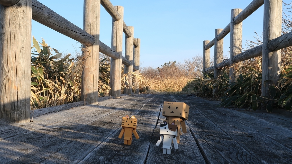 f:id:shirokumapanda:20190508224936j:plain f:id:shirokumapanda:20190508224936j:plain