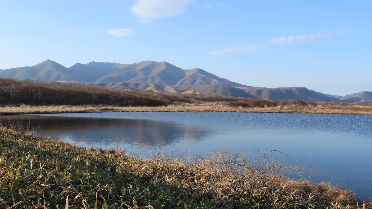 f:id:shirokumapanda:20190508224940j:plain f:id:shirokumapanda:20190508224940j:plain