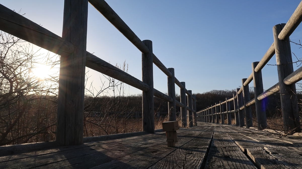 f:id:shirokumapanda:20190508225120j:plain f:id:shirokumapanda:20190508225120j:plain