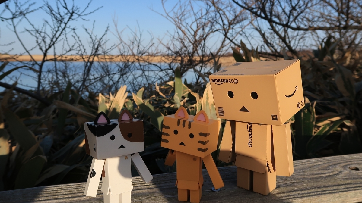 f:id:shirokumapanda:20190508225131j:plain f:id:shirokumapanda:20190508225131j:plain