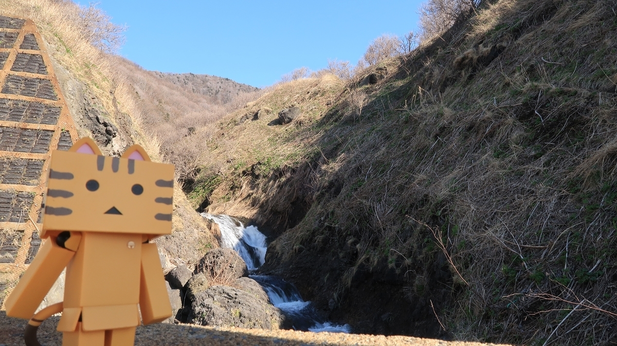 f:id:shirokumapanda:20190509234651j:plain