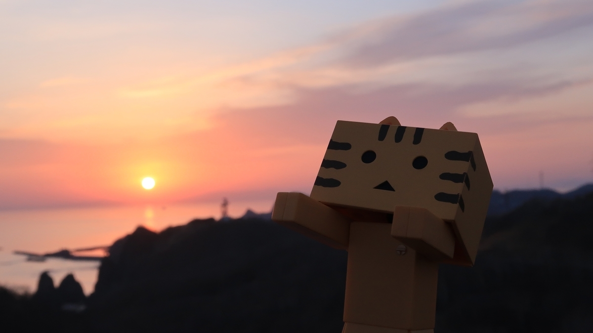 f:id:shirokumapanda:20190510224502j:plain