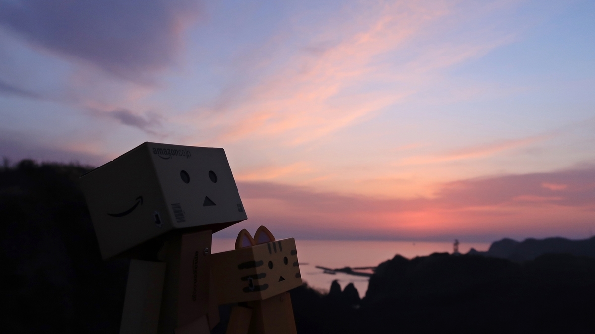 f:id:shirokumapanda:20190510224557j:plain