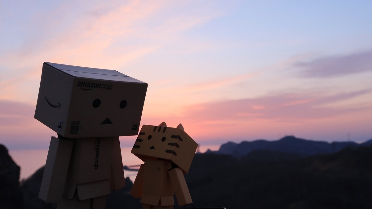 f:id:shirokumapanda:20190510224600j:plain