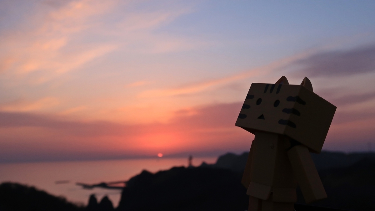 f:id:shirokumapanda:20190510224604j:plain
