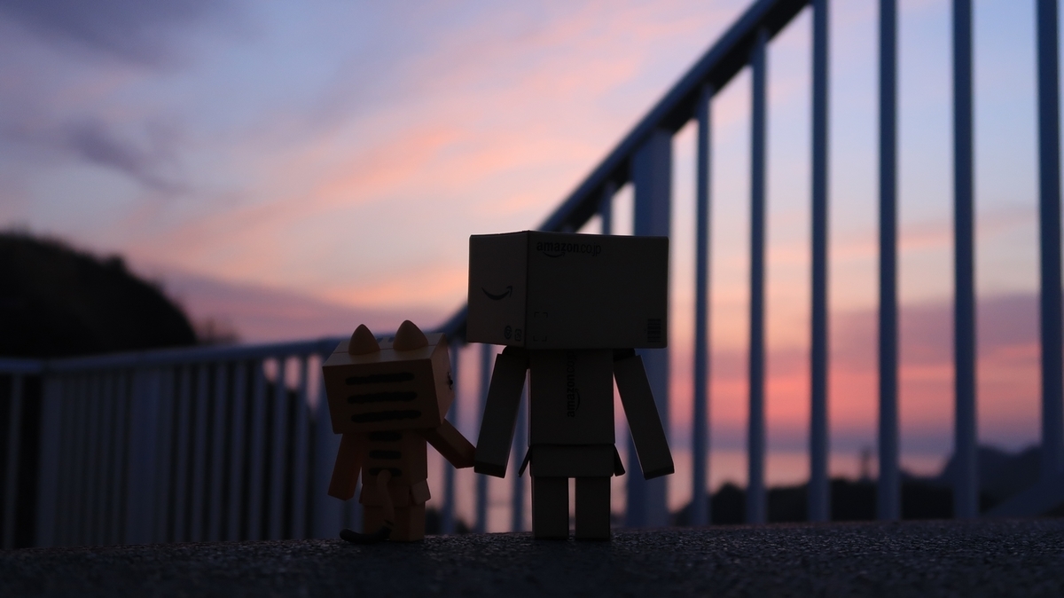 f:id:shirokumapanda:20190510224711j:plain