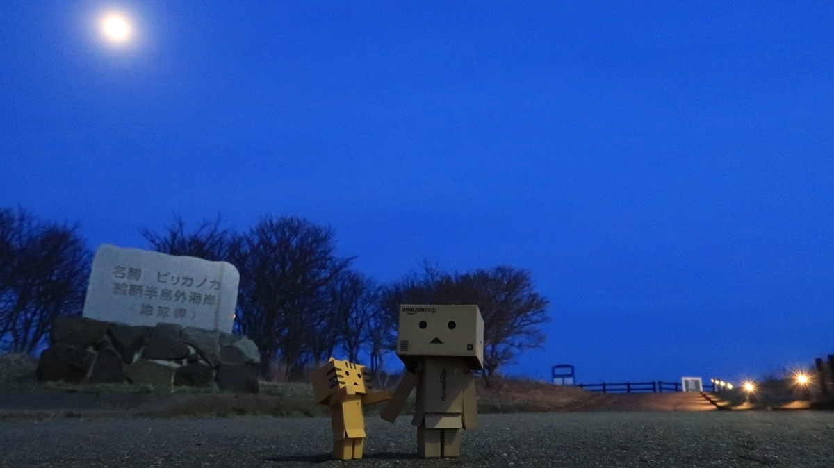f:id:shirokumapanda:20190510225216j:plain