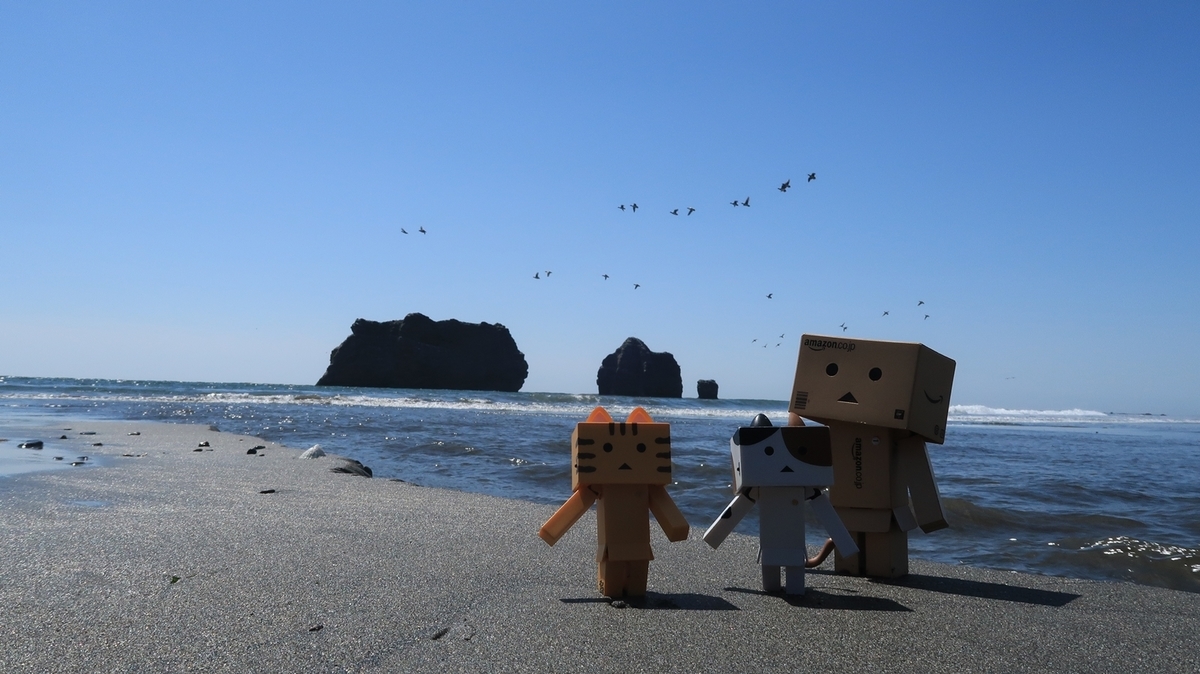f:id:shirokumapanda:20190513235303j:plain