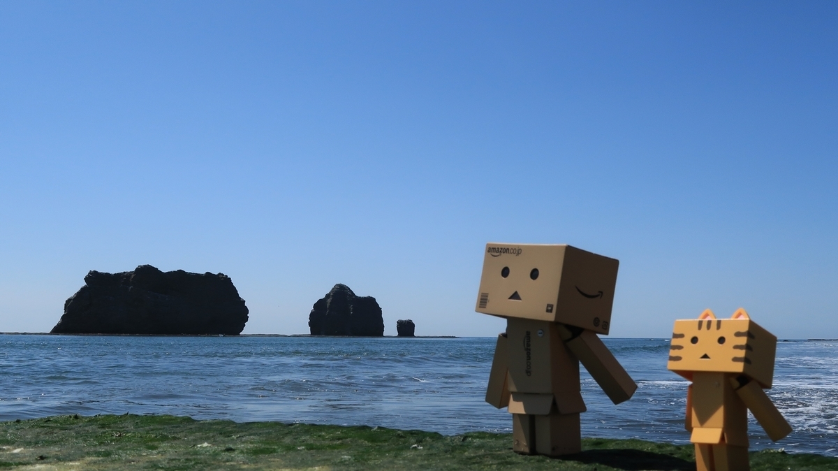 f:id:shirokumapanda:20190513235307j:plain