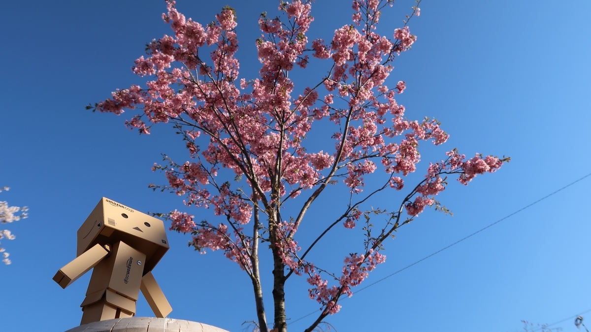 f:id:shirokumapanda:20190515025300j:plain