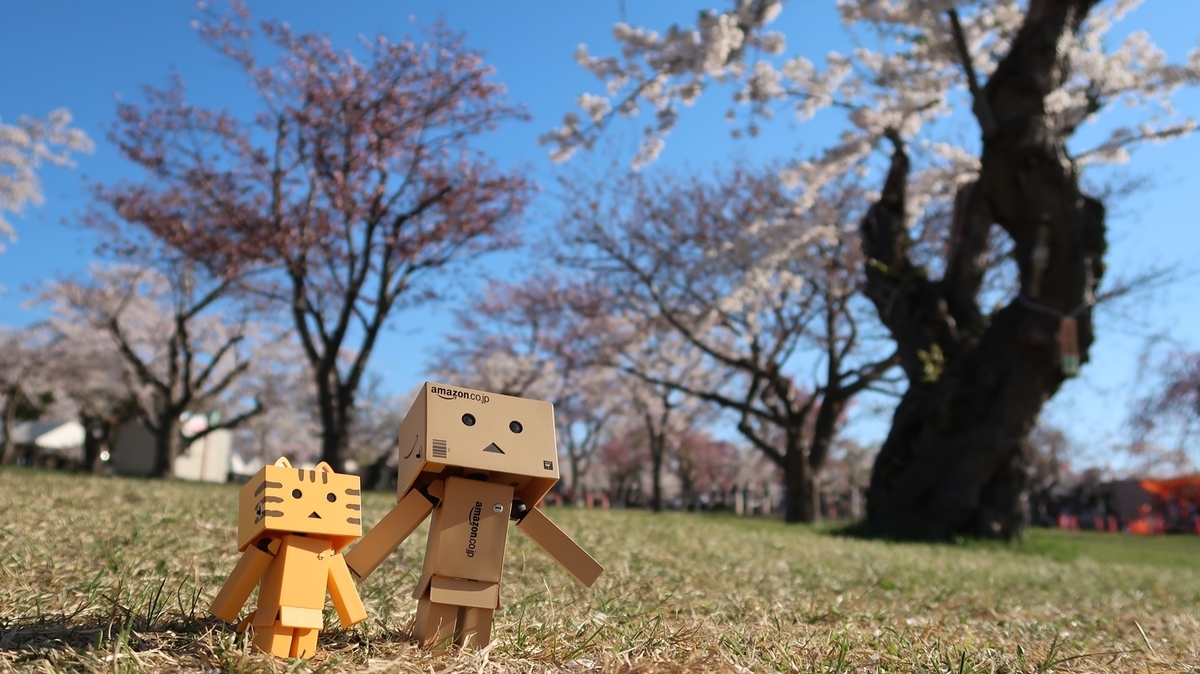 f:id:shirokumapanda:20190515025311j:plain