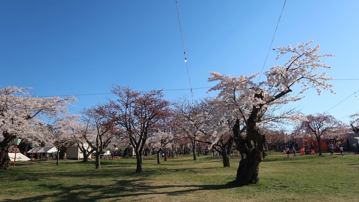 f:id:shirokumapanda:20190515025315j:plain
