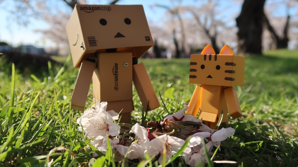 f:id:shirokumapanda:20190515025640j:plain