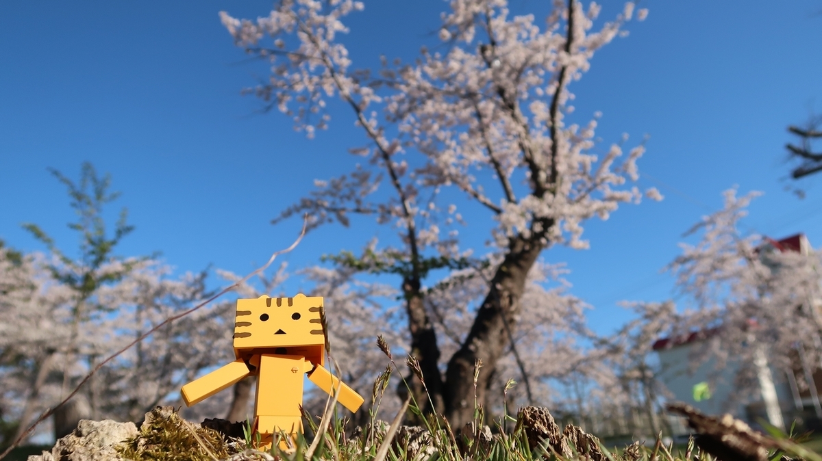 f:id:shirokumapanda:20190515025647j:plain
