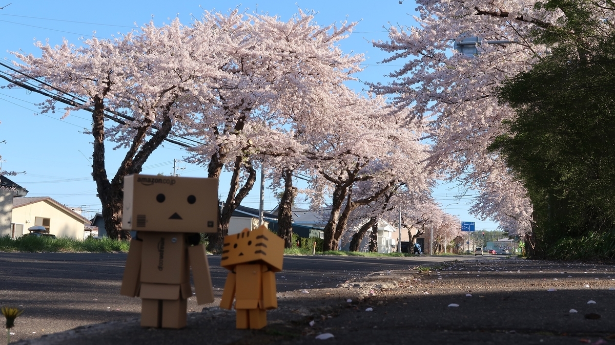 f:id:shirokumapanda:20190515025718j:plain
