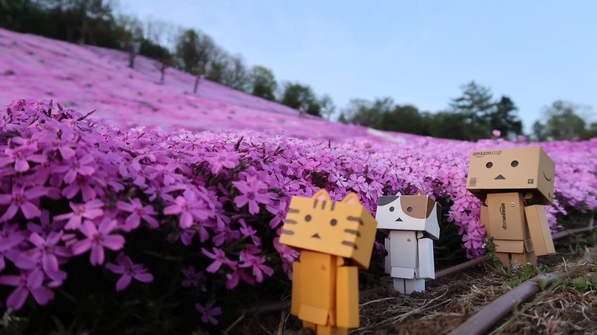 f:id:shirokumapanda:20190520232851j:plain