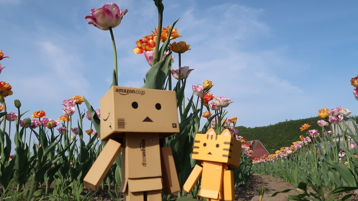 f:id:shirokumapanda:20190520232902j:plain