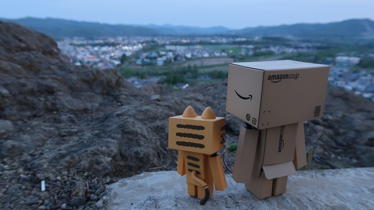 f:id:shirokumapanda:20190520233251j:plain