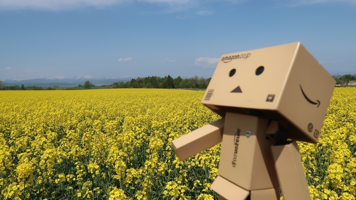f:id:shirokumapanda:20190521231330j:plain