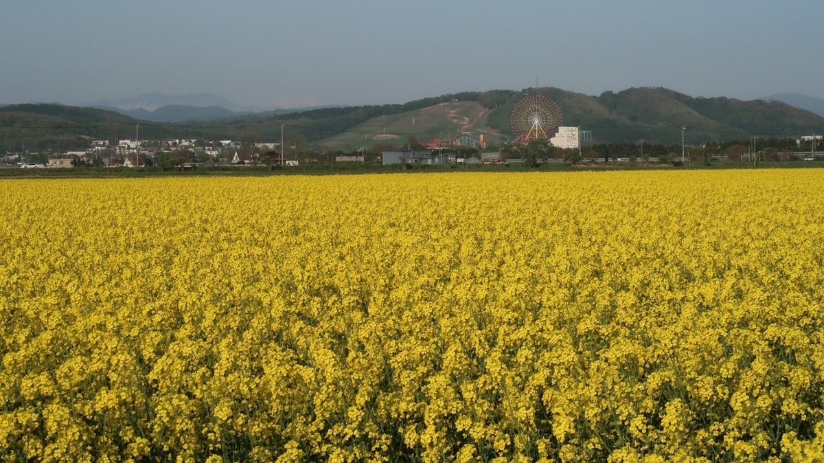 f:id:shirokumapanda:20190521232201j:plain