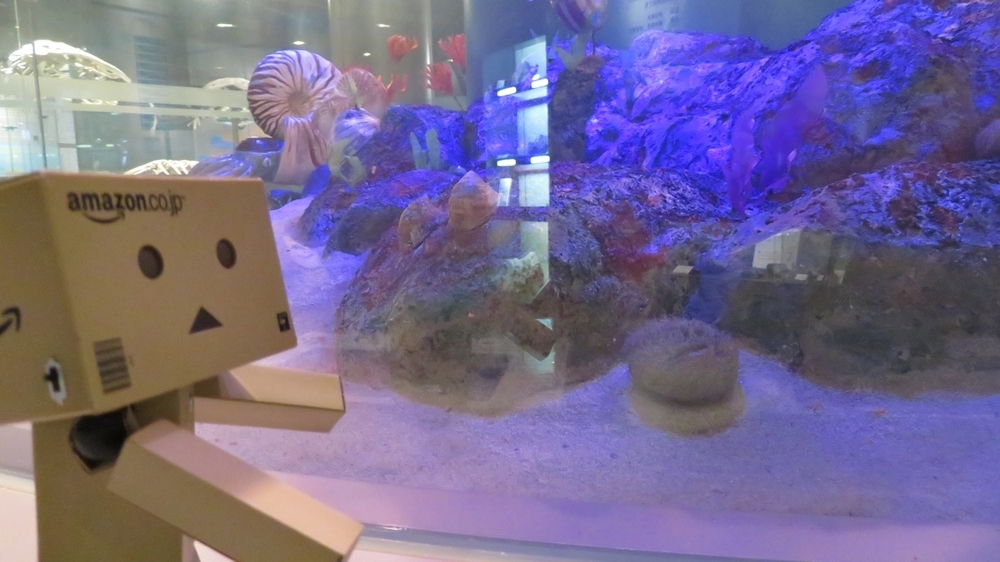 f:id:shirokumapanda:20190522225928j:plain f:id:shirokumapanda:20190522225928j:plain