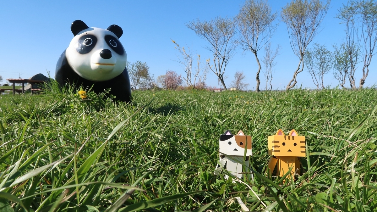 f:id:shirokumapanda:20190524220857j:plain