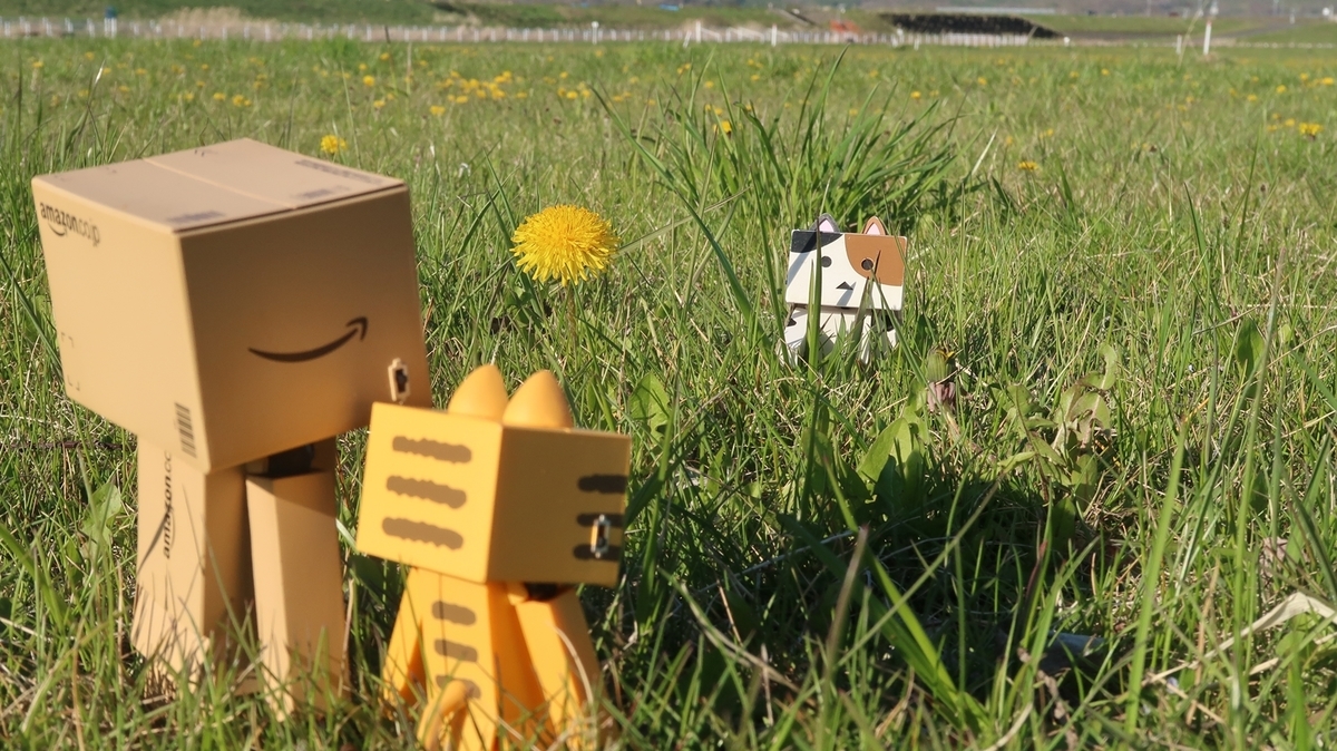 f:id:shirokumapanda:20190524221400j:plain