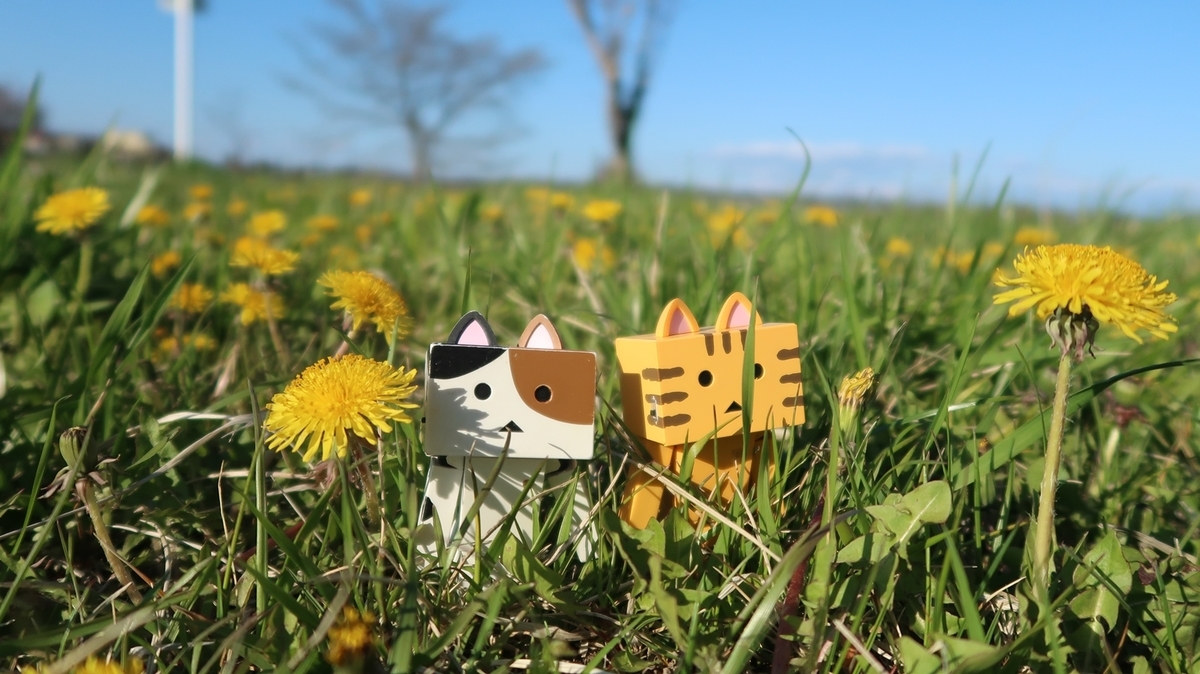 f:id:shirokumapanda:20190524221705j:plain