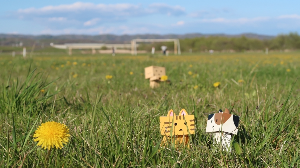 f:id:shirokumapanda:20190524221712j:plain