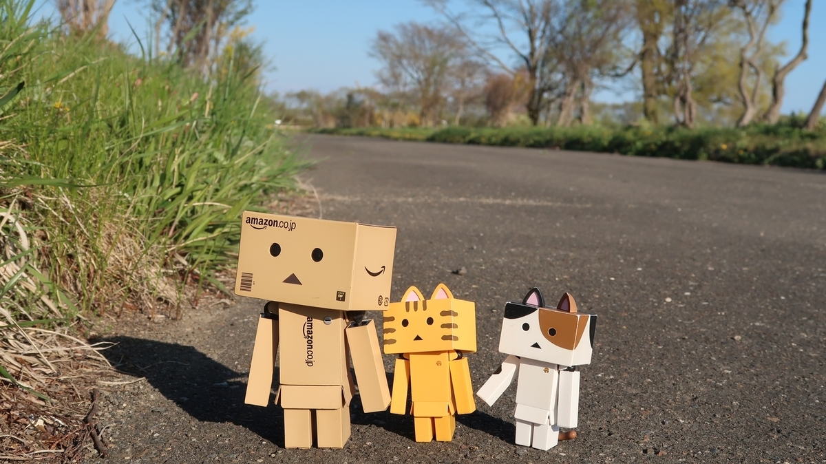 f:id:shirokumapanda:20190524221751j:plain