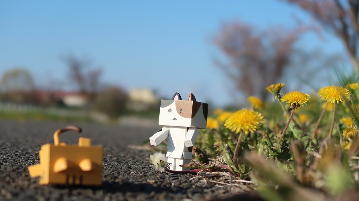 f:id:shirokumapanda:20190524221802j:plain