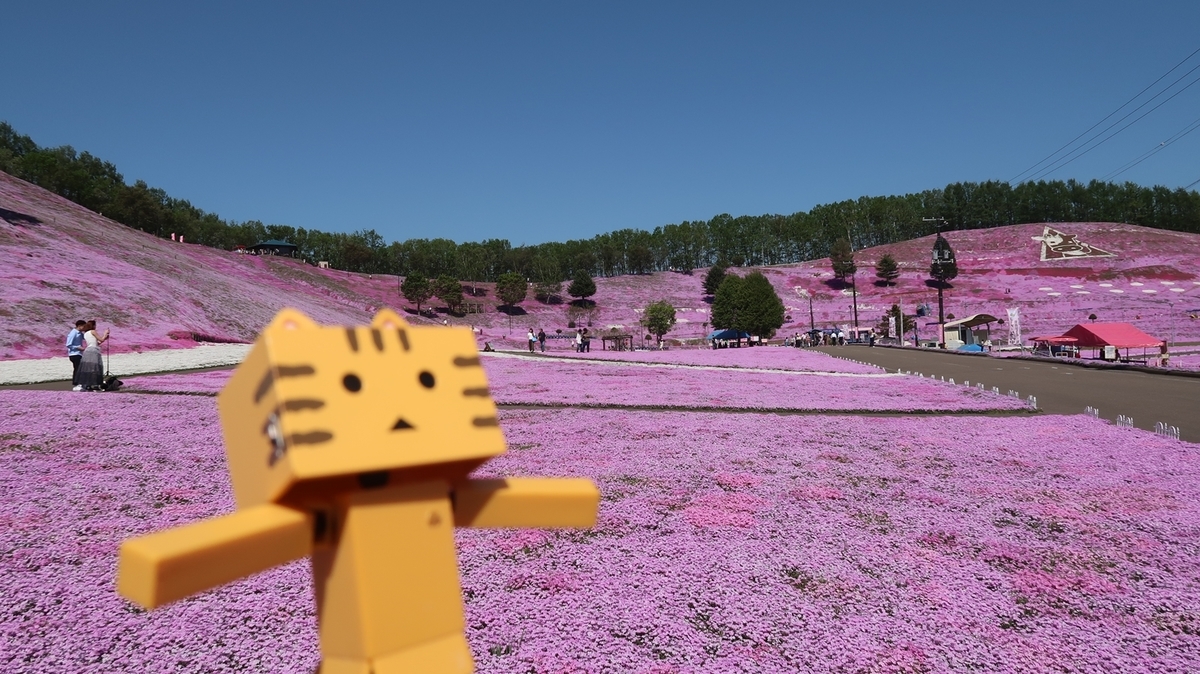f:id:shirokumapanda:20190527234129j:plain