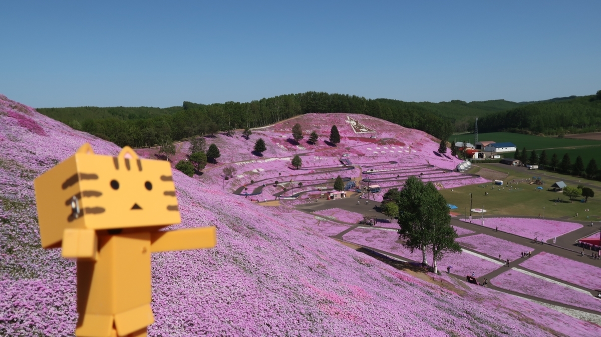 f:id:shirokumapanda:20190527234136j:plain