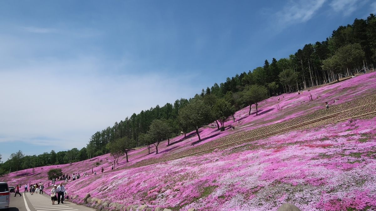f:id:shirokumapanda:20190527234413j:plain