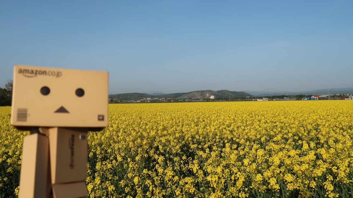 f:id:shirokumapanda:20190529002025j:plain