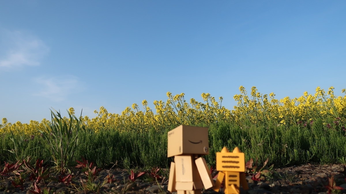 f:id:shirokumapanda:20190529002914j:plain