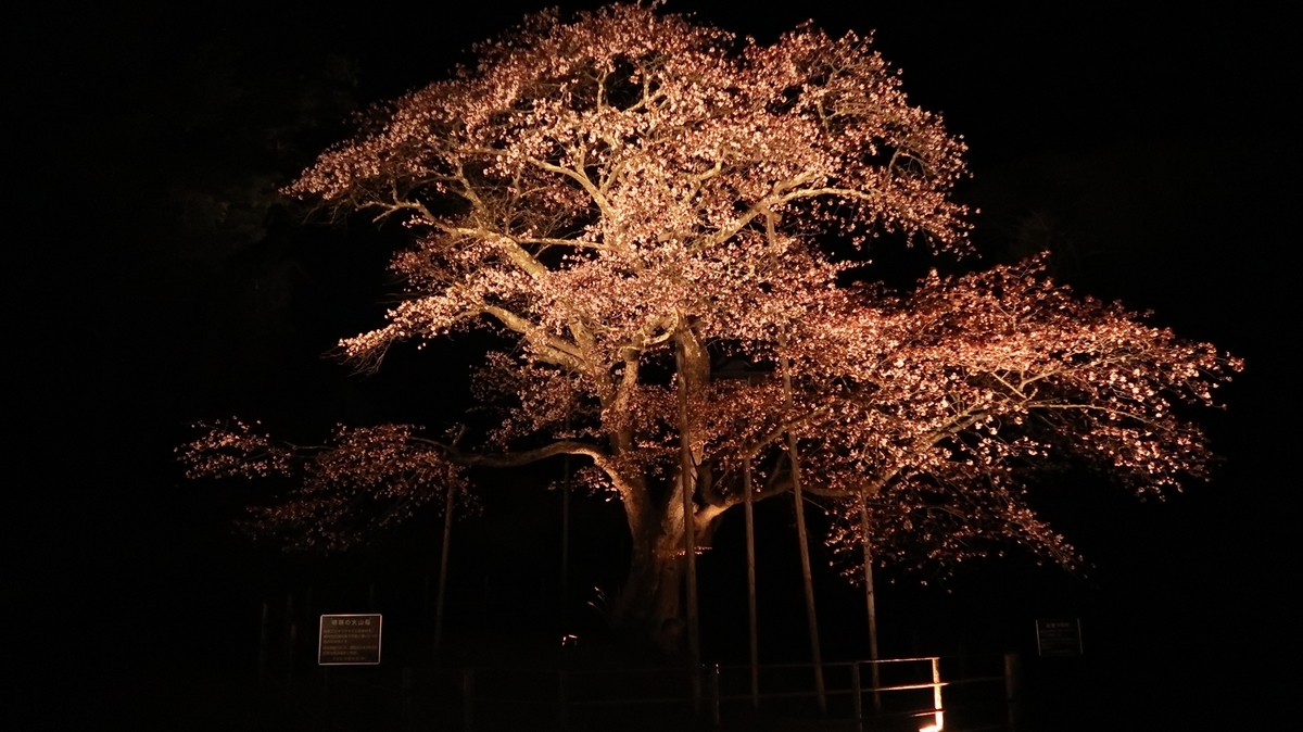 f:id:shirokumapanda:20190530234308j:plain