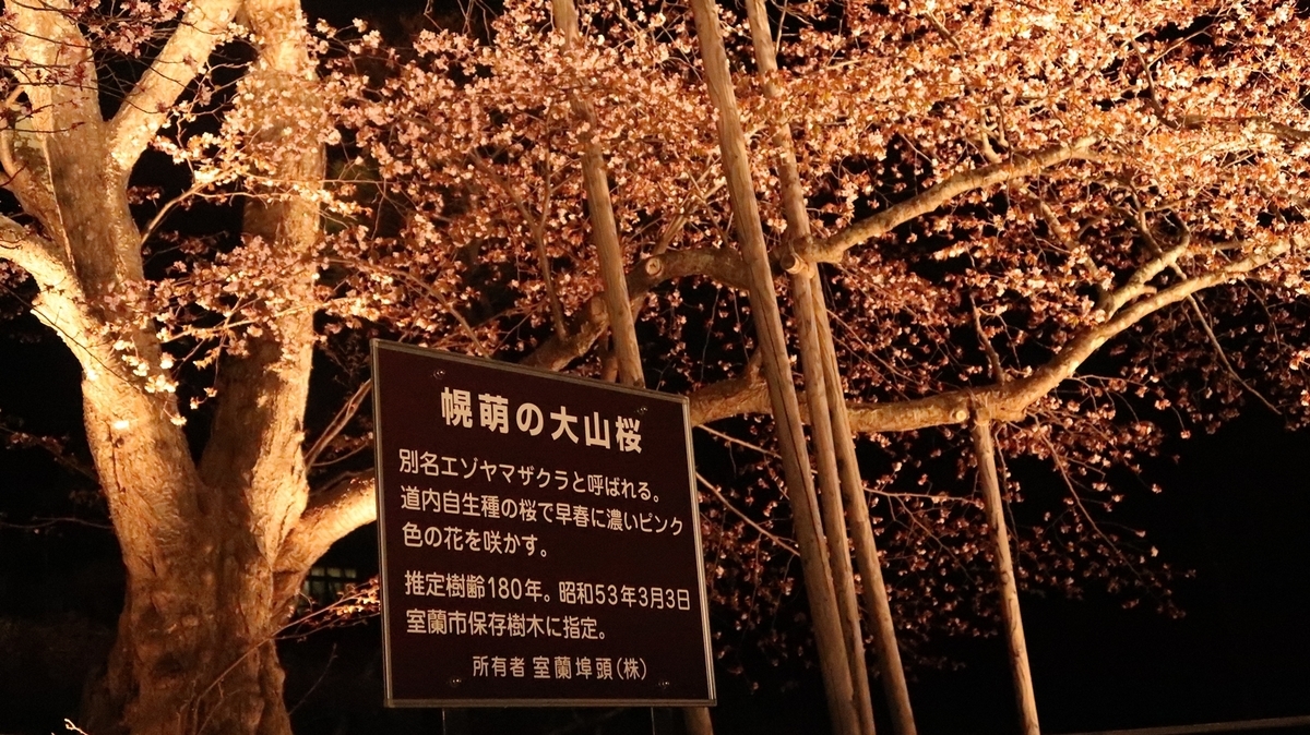 f:id:shirokumapanda:20190530234321j:plain