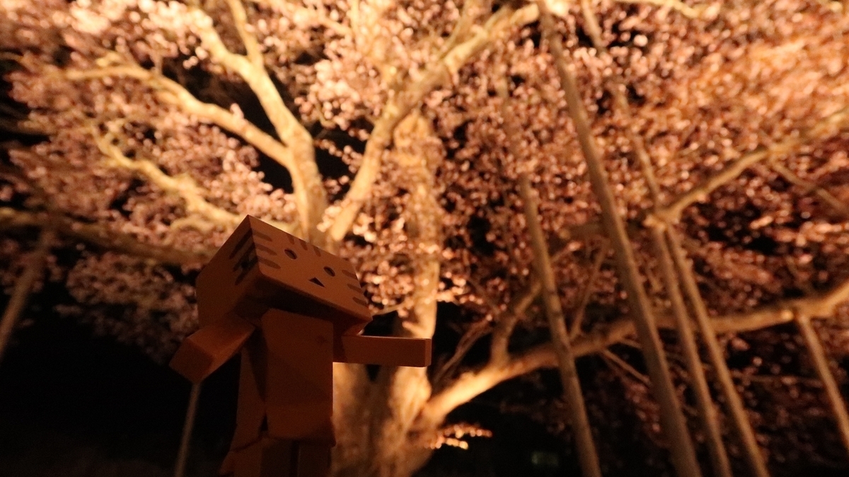 f:id:shirokumapanda:20190530234441j:plain