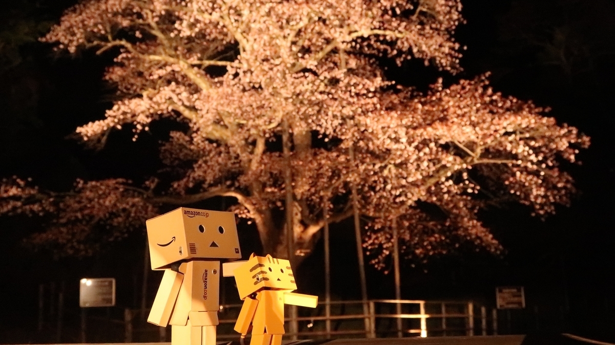 f:id:shirokumapanda:20190530234543j:plain
