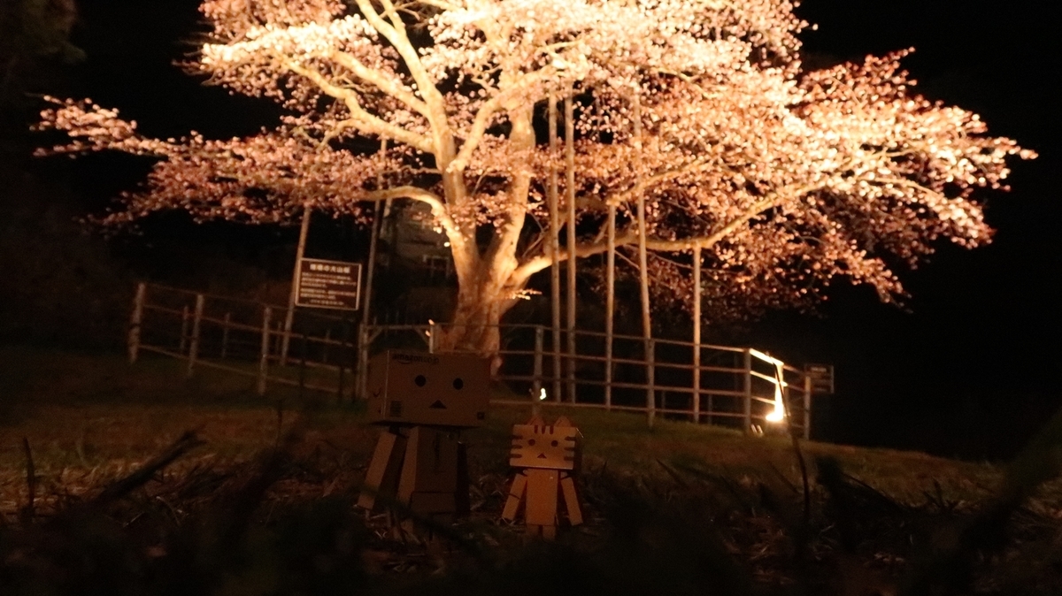 f:id:shirokumapanda:20190530234550j:plain