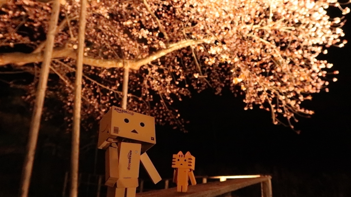 f:id:shirokumapanda:20190530234558j:plain