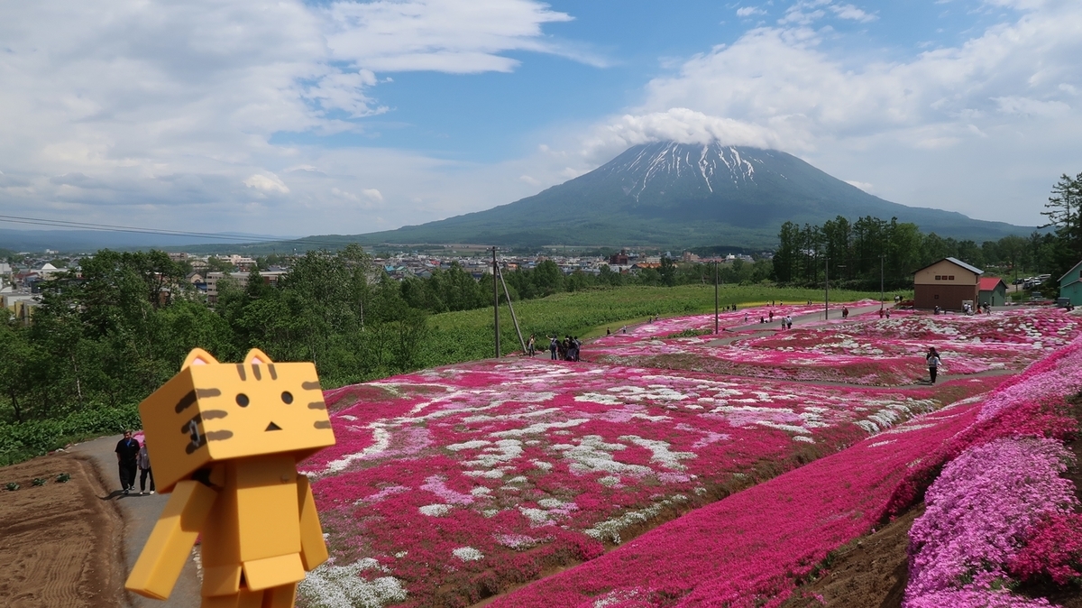 f:id:shirokumapanda:20190602001226j:plain