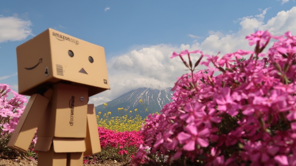 f:id:shirokumapanda:20190602001603j:plain