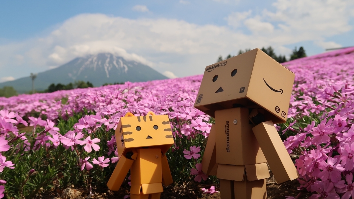 f:id:shirokumapanda:20190602001637j:plain