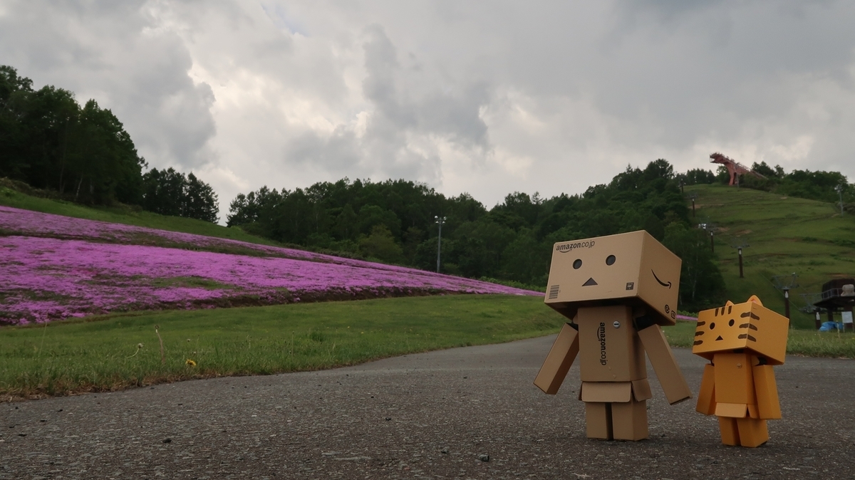 f:id:shirokumapanda:20190602001641j:plain