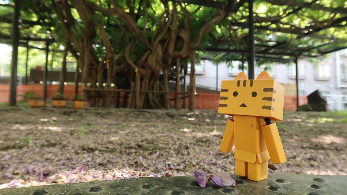 f:id:shirokumapanda:20190603224123j:plain f:id:shirokumapanda:20190603224123j:plain