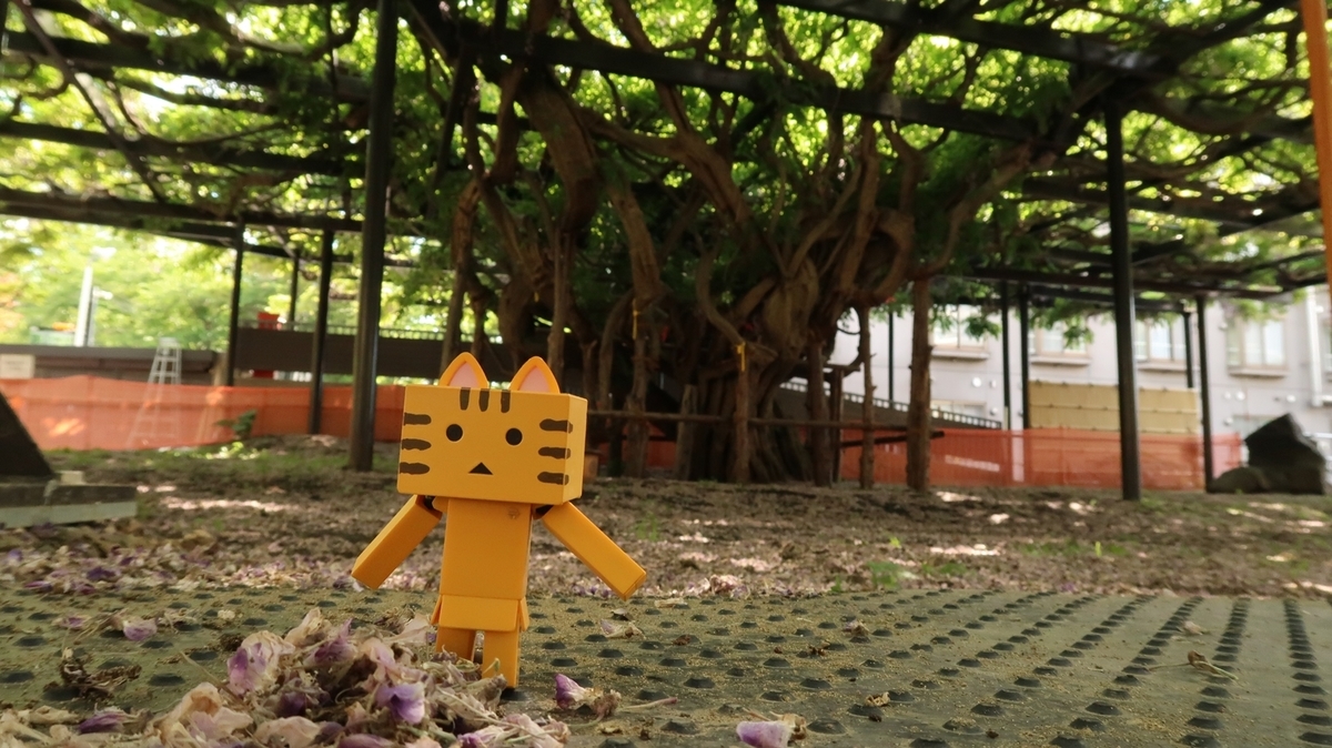 f:id:shirokumapanda:20190603224129j:plain f:id:shirokumapanda:20190603224129j:plain