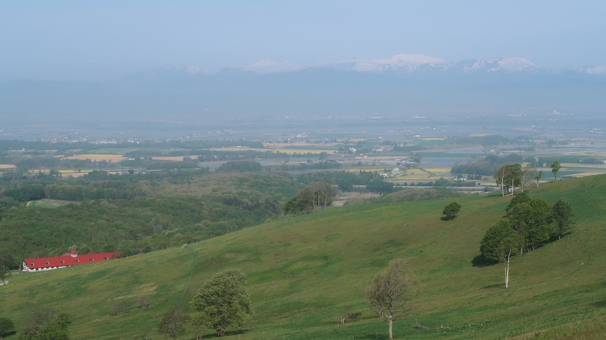 f:id:shirokumapanda:20190604235155j:plain f:id:shirokumapanda:20190604235155j:plain